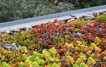 the cost of Rhuddall Heath green roof installation