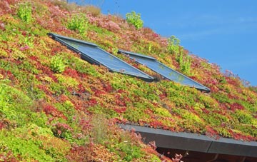 Rhuddall Heath living roof systems