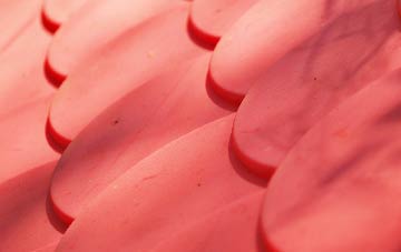 Rhuddall Heath plastic roof costs