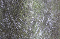 Rhuddall Heath fibreglass roof work